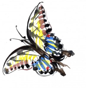 Fluturele - ilustratie de George Romila