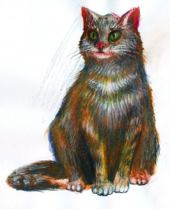 Pisica - ilustratie de George Romila
